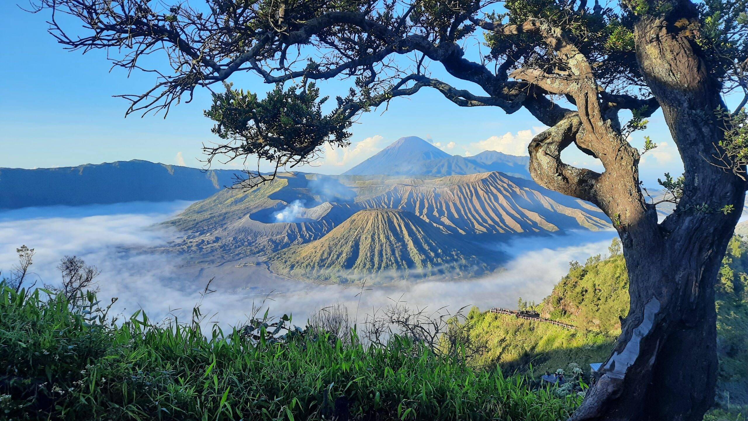 paket wisata Bromo